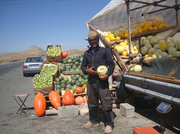 فروش هندوانه دیم در جاده اهر